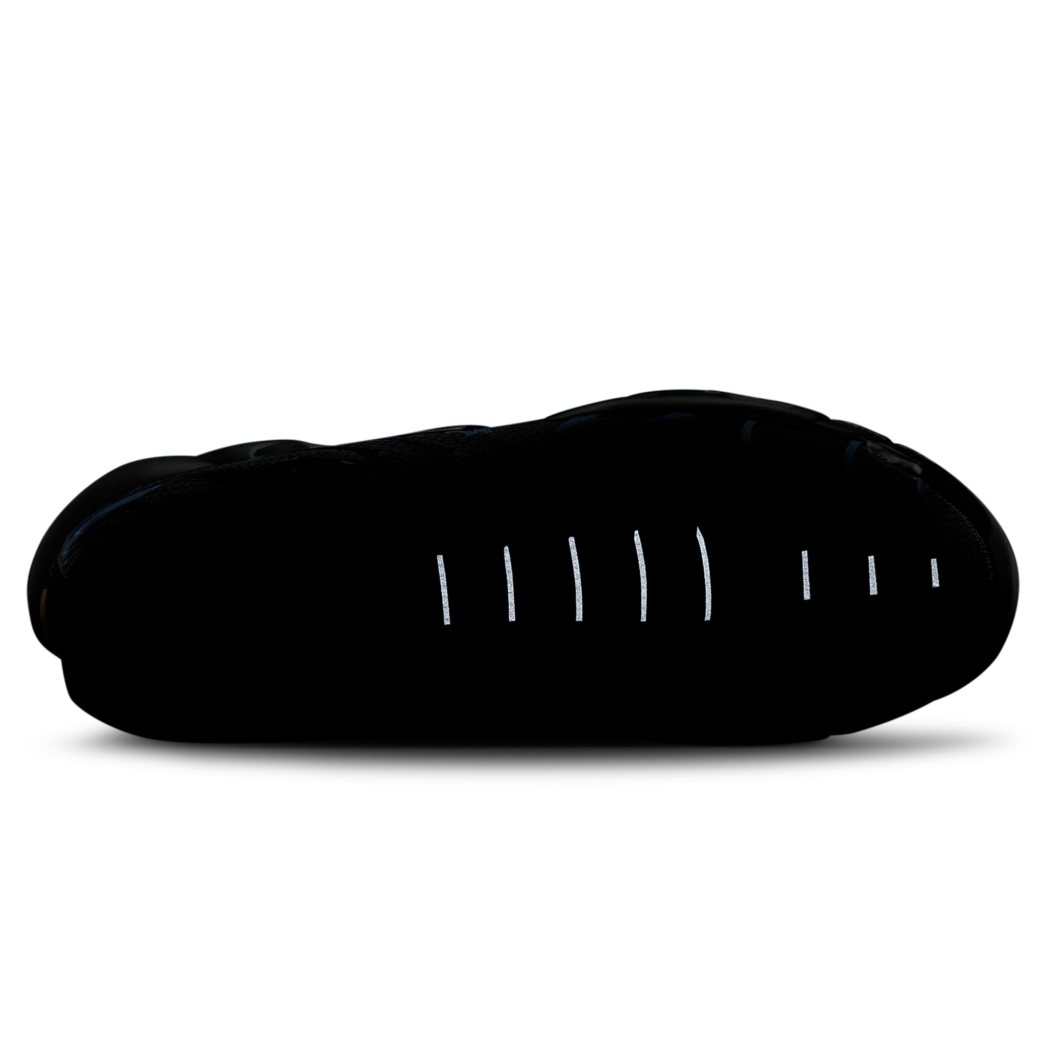 TN Air Max Plus Black University Blue (2022)